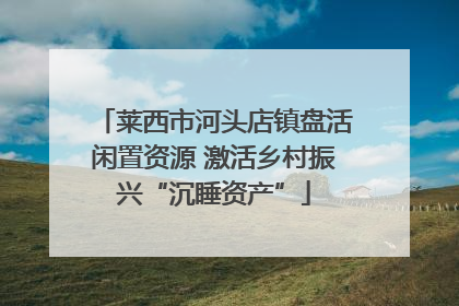 莱西市河头店镇盘活闲置资源 激活乡村振兴“沉睡资产”