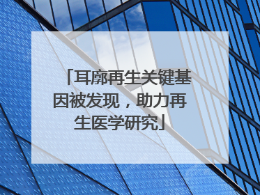耳廓再生关键基因被发现，助力再生医学研究