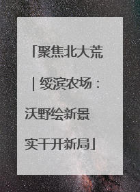 聚焦北大荒｜绥滨农场：沃野绘新景 实干开新局