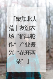 聚焦北大荒｜友谊农场“稻耳轮作”产业振兴“花开两朵”