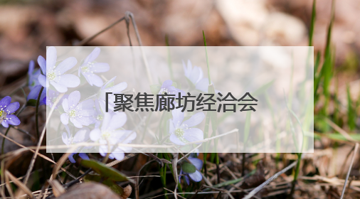聚焦廊坊经洽会：6街16巷消费市集搭建沉浸式消费体验新场景