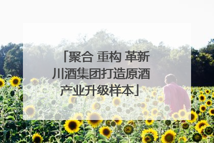 聚合 重构 革新 川酒集团打造原酒产业升级样本