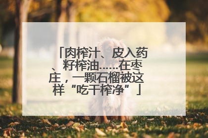 肉榨汁、皮入药、籽榨油……在枣庄，一颗石榴被这样“吃干榨净”
