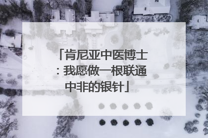 肯尼亚中医博士：我愿做一根联通中非的银针