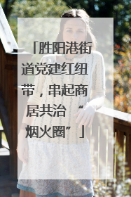 胜阳港街道党建红纽带，串起商居共治 “烟火圈”