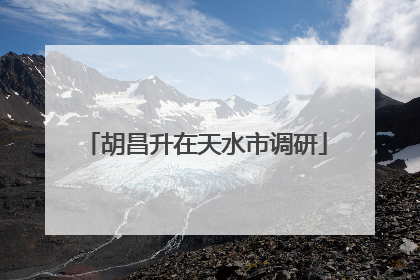 胡昌升在天水市调研