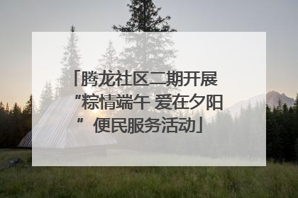 腾龙社区二期开展 “粽情端午 爱在夕阳”便民服务活动