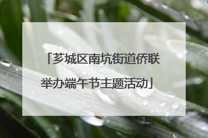 芗城区南坑街道侨联举办端午节主题活动