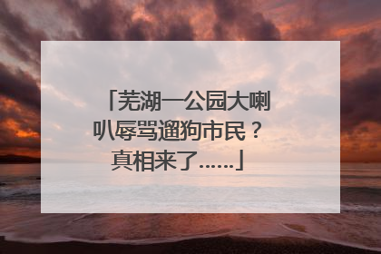 芜湖一公园大喇叭辱骂遛狗市民？真相来了……
