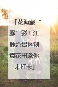 花海藏“豚”影！江豚湾景区创意花田邀你来打卡