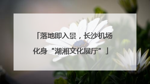 落地即入景，长沙机场化身“湖湘文化展厅”