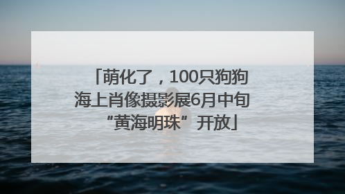 萌化了，100只狗狗海上肖像摄影展6月中旬“黄海明珠”开放