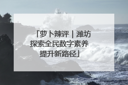 萝卜辣评｜潍坊探索全民数字素养提升新路径