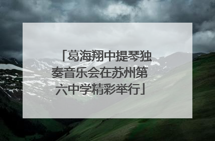 葛海翔中提琴独奏音乐会在苏州第六中学精彩举行