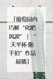 葡萄园内巧解“化肥风波”｜“天平杯·随手拍”作品展播