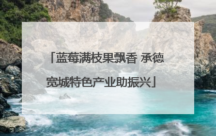 蓝莓满枝果飘香 承德宽城特色产业助振兴