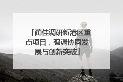 蔺佳调研新港区重点项目，强调协同发展与创新突破