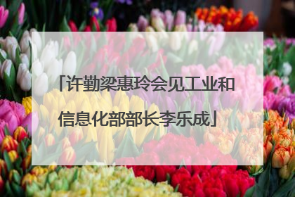 许勤梁惠玲会见工业和信息化部部长李乐成