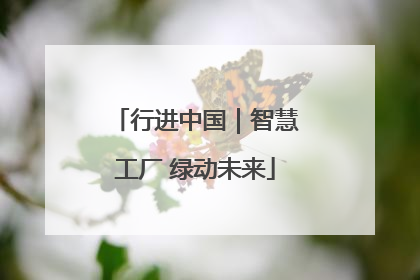 行进中国｜智慧工厂 绿动未来