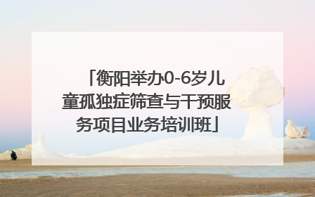 衡阳举办0-6岁儿童孤独症筛查与干预服务项目业务培训班