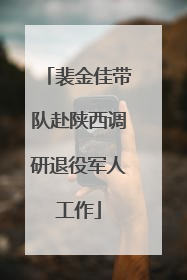 裴金佳带队赴陕西调研退役军人工作