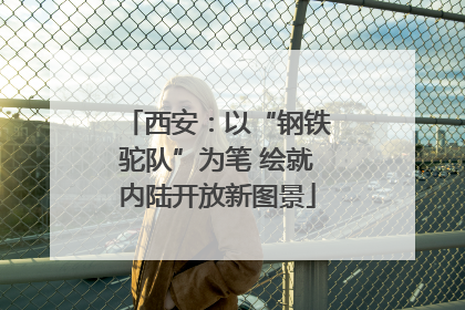 西安：以“钢铁驼队”为笔 绘就内陆开放新图景