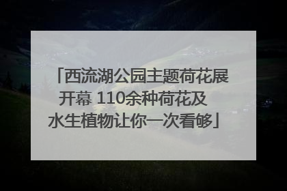 西流湖公园主题荷花展开幕 110余种荷花及水生植物让你一次看够