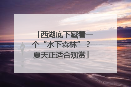 西湖底下藏着一个“水下森林”？夏天正适合观赏