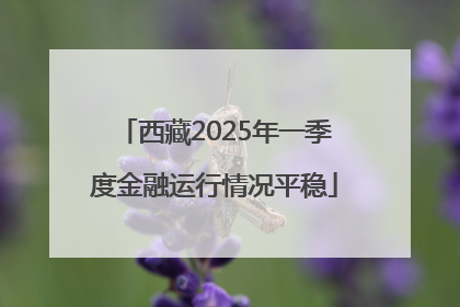 西藏2025年一季度金融运行情况平稳