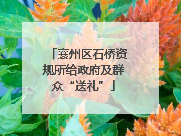 襄州区石桥资规所给政府及群众“送礼”