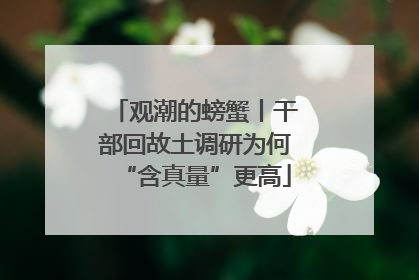 观潮的螃蟹丨干部回故土调研为何“含真量”更高