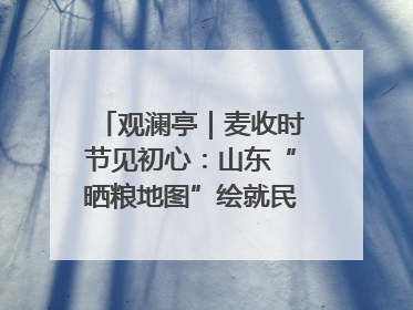 观澜亭｜麦收时节见初心：山东“晒粮地图”绘就民生温暖画卷