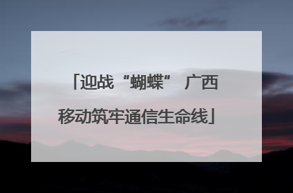 迎战“蝴蝶” 广西移动筑牢通信生命线