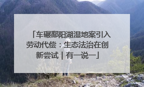 车碾鄱阳湖湿地案引入劳动代偿：生态法治在创新尝试｜有一说一