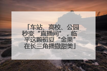 车站、高校、公园秒变“直播间”，临平这颗初夏“金果”在长三角播撒甜美