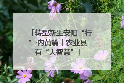 转型新生安阳“行”·内黄篇丨农业县有“大智慧”