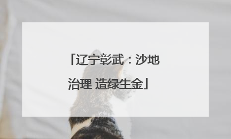 辽宁彰武：沙地治理 造绿生金