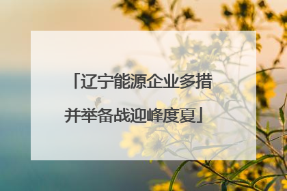 辽宁能源企业多措并举备战迎峰度夏