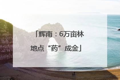辉南：6万亩林地点“药”成金