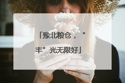 豫北粮仓,“丰”光无限好