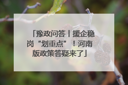 豫政问答丨援企稳岗“划重点”！河南版政策答疑来了