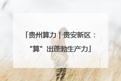 贵州算力｜贵安新区：“算”出蓬勃生产力