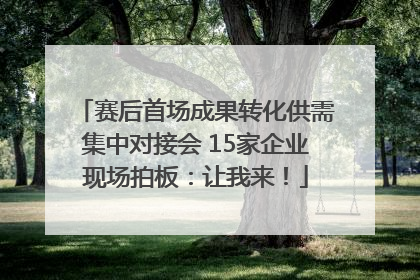 赛后首场成果转化供需集中对接会 15家企业现场拍板：让我来！