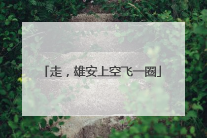 走，雄安上空飞一圈