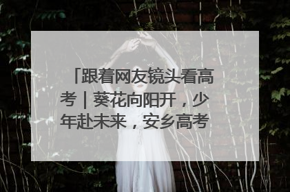 跟着网友镜头看高考｜葵花向阳开，少年赴未来，安乡高考首日的希望图景