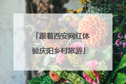 跟着西安网红体验庆阳乡村旅游