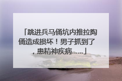 跳进兵马俑坑内推拉陶俑造成损坏！男子抓到了，患精神疾病……
