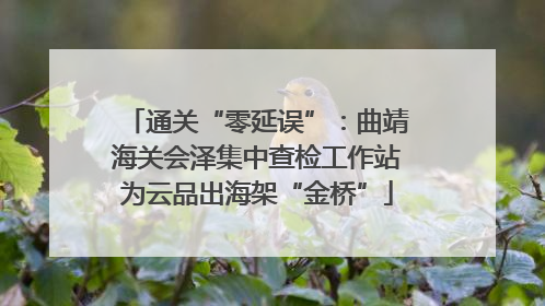 通关“零延误”：曲靖海关会泽集中查检工作站为云品出海架“金桥”