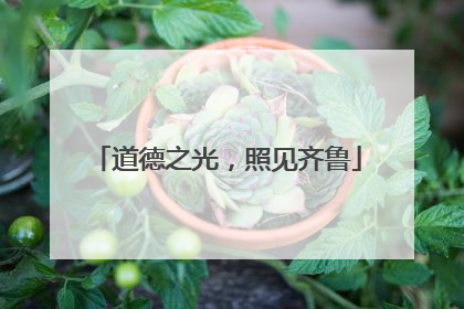 道德之光，照见齐鲁
