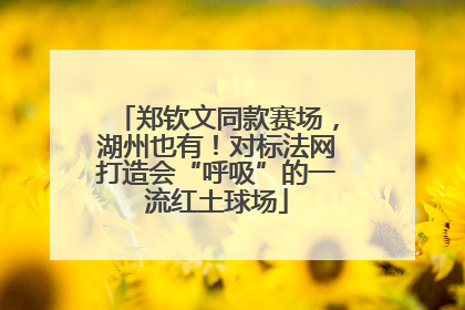 郑钦文同款赛场，湖州也有！对标法网打造会“呼吸”的一流红土球场